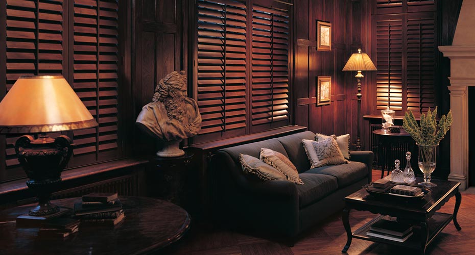 Blinds, Shades, and Shutters
